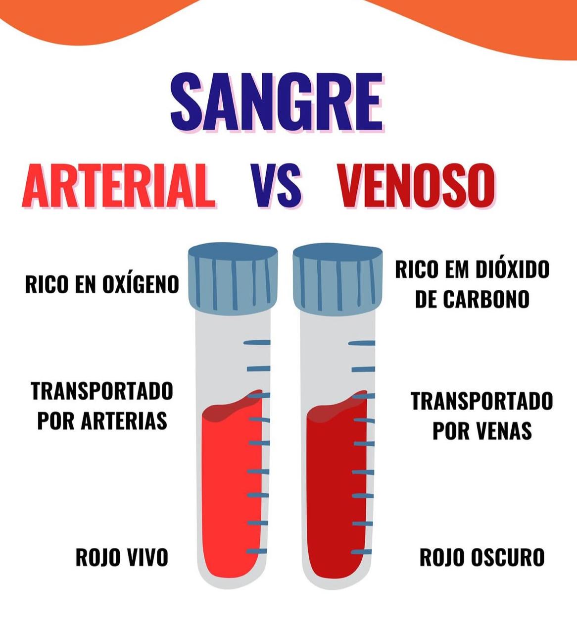 SANGRE ARTERIAL SANGRE VENOSA