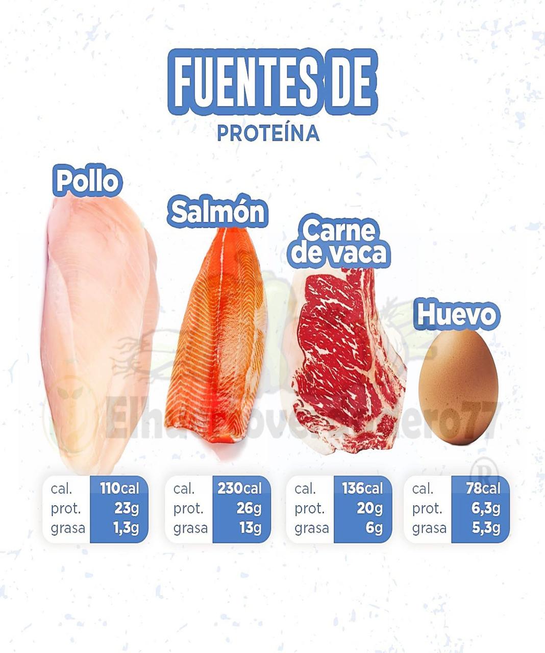 Fuentes de proteina
